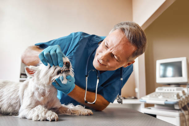 Best Dentist for Tooth Abscess  in Emerson, NJ